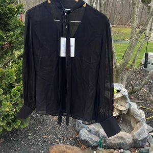 Beautifull sheer blouse